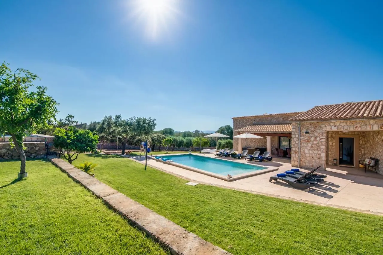 Ideal Property Mallorca - Sa Canova D'Ariany Spain