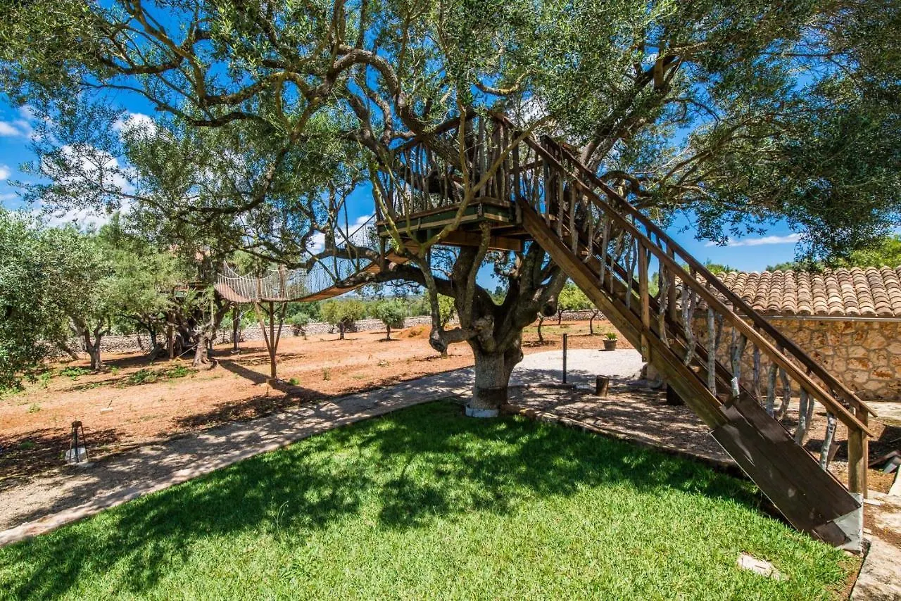 Ideal Property Mallorca - Sa Canova D'אריאני