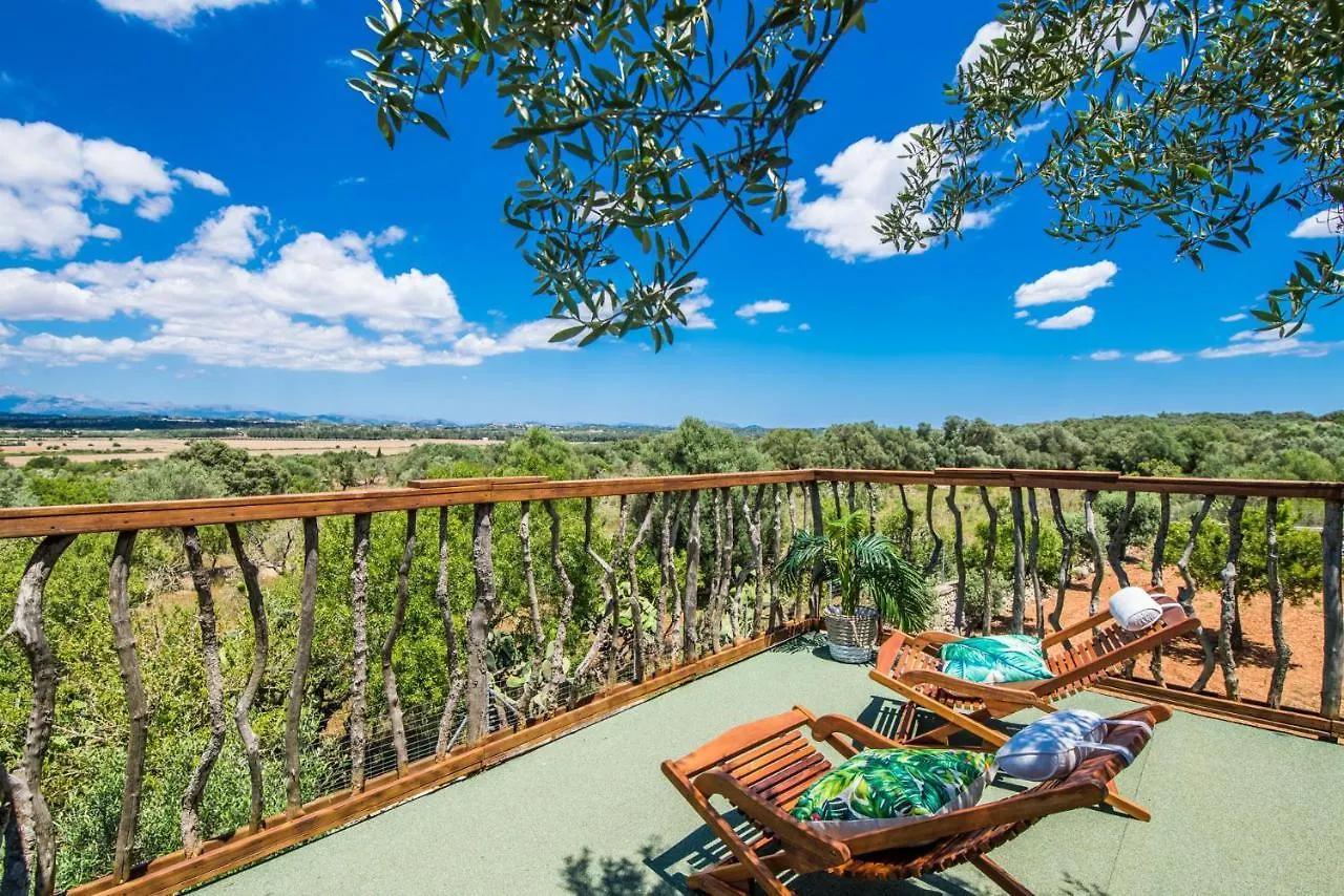 Ideal Property Mallorca - Sa Canova D'Ariany Ariany