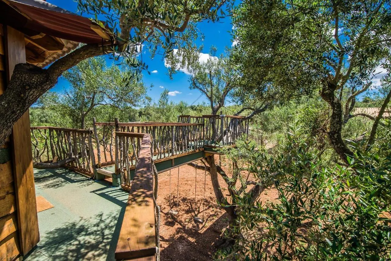 בית כפרי Ideal Property Mallorca - Sa Canova D'אריאני