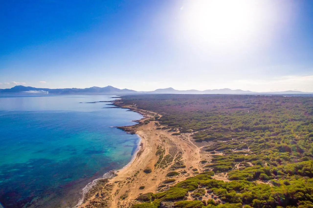 Ideal Property Mallorca - Sa Canova D'Ariany Ariany