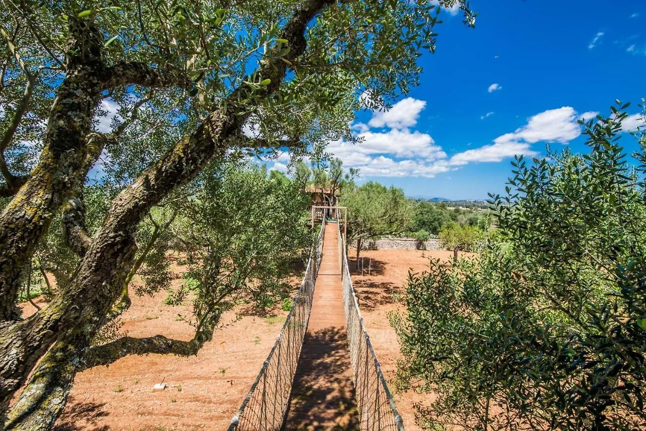 Ideal Property Mallorca - Sa Canova D'Ariany