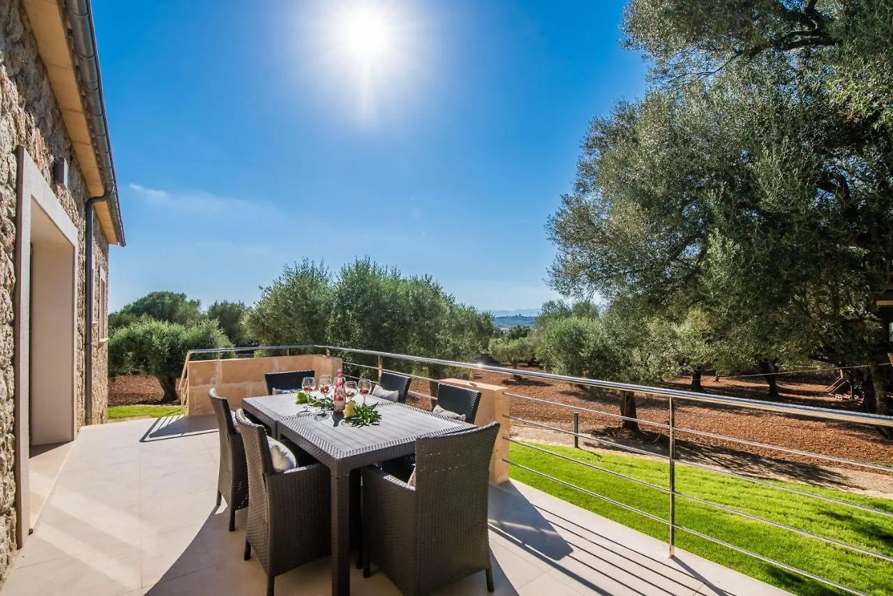 Ideal Property Mallorca - Sa Canova D'Ariany Spain