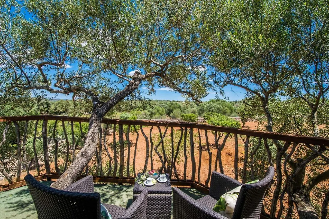 Ideal Property Mallorca - Sa Canova D'Ariany Country house Ariany